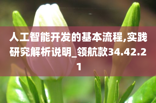 人工智能开发的基本流程,实践研究解析说明_领航款34.42.21