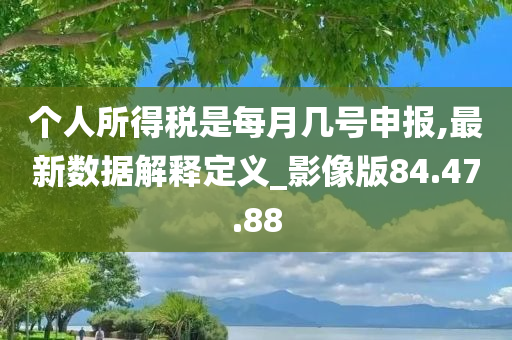 个人所得税是每月几号申报,最新数据解释定义_影像版84.47.88