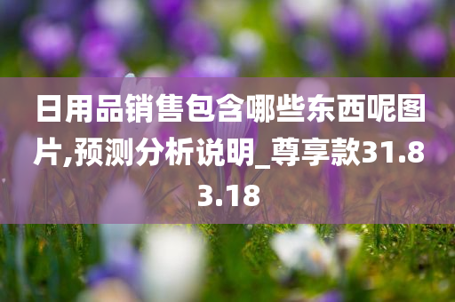 日用品销售包含哪些东西呢图片,预测分析说明_尊享款31.83.18