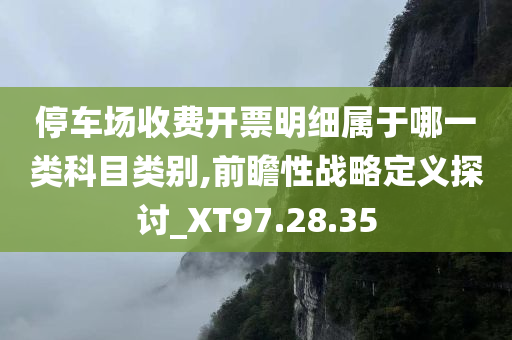 停车场收费开票明细属于哪一类科目类别,前瞻性战略定义探讨_XT97.28.35