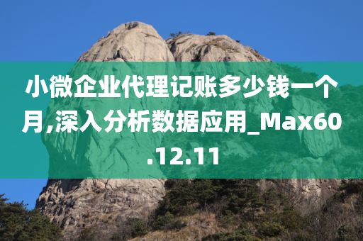 小微企业代理记账多少钱一个月,深入分析数据应用_Max60.12.11