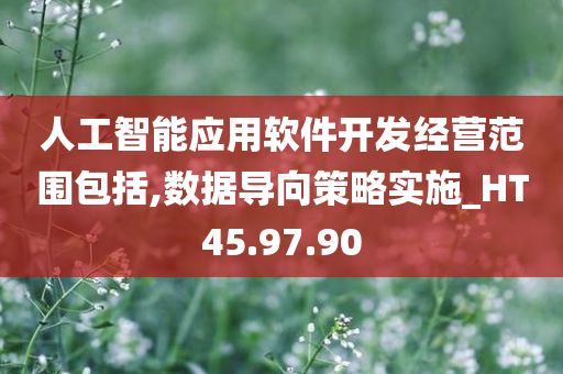 人工智能应用软件开发经营范围包括,数据导向策略实施_HT45.97.90