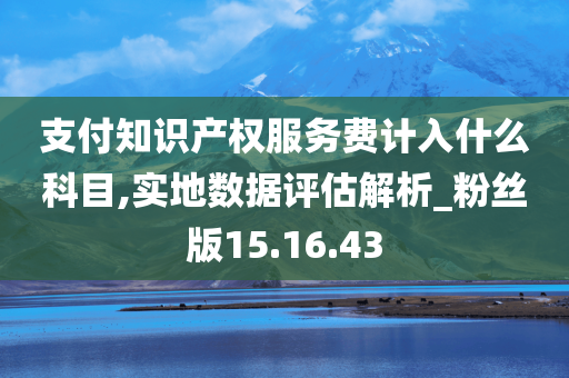 支付知识产权服务费计入什么科目,实地数据评估解析_粉丝版15.16.43