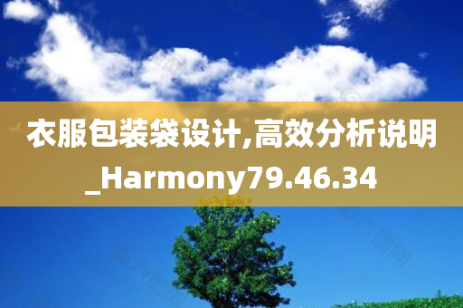 衣服包装袋设计,高效分析说明_Harmony79.46.34