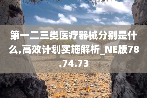 第一二三类医疗器械分别是什么,高效计划实施解析_NE版78.74.73