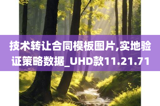 技术转让合同模板图片,实地验证策略数据_UHD款11.21.71