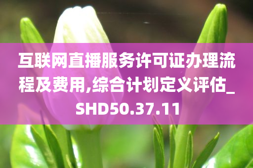 互联网直播服务许可证办理流程及费用,综合计划定义评估_SHD50.37.11