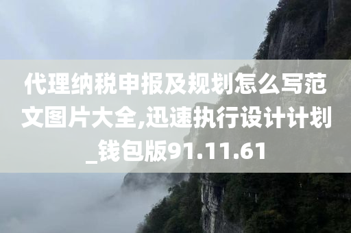 代理纳税申报及规划怎么写范文图片大全,迅速执行设计计划_钱包版91.11.61