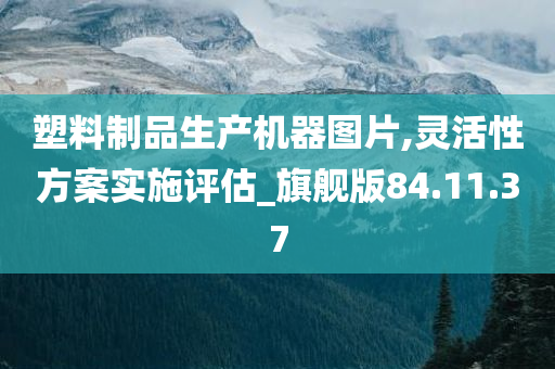 塑料制品生产机器图片,灵活性方案实施评估_旗舰版84.11.37