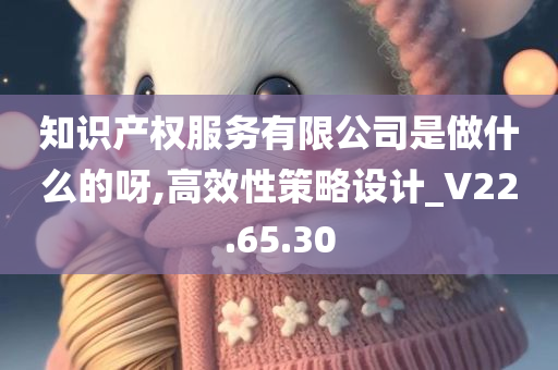 知识产权服务有限公司是做什么的呀,高效性策略设计_V22.65.30