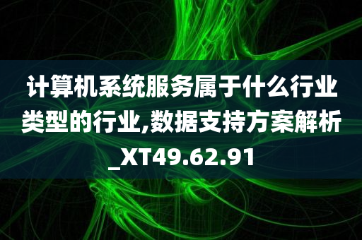 计算机系统服务属于什么行业类型的行业,数据支持方案解析_XT49.62.91