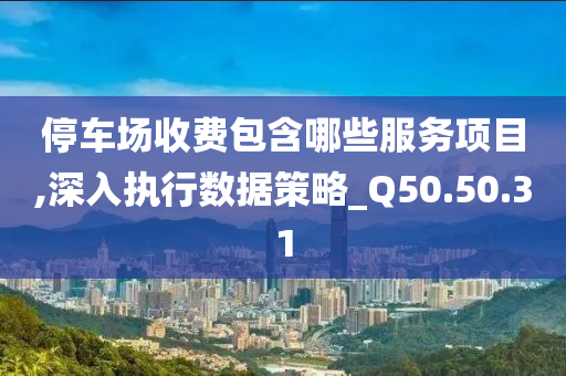 停车场收费包含哪些服务项目,深入执行数据策略_Q50.50.31