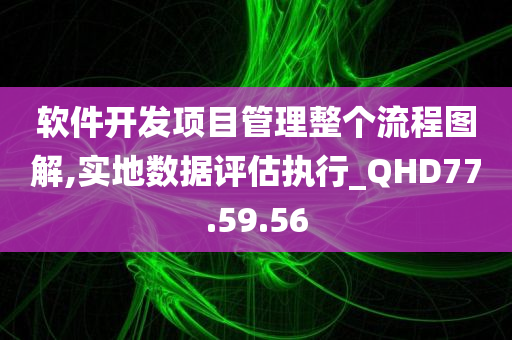 软件开发项目管理整个流程图解,实地数据评估执行_QHD77.59.56