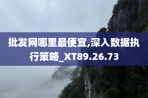 批发网哪里最便宜,深入数据执行策略_XT89.26.73