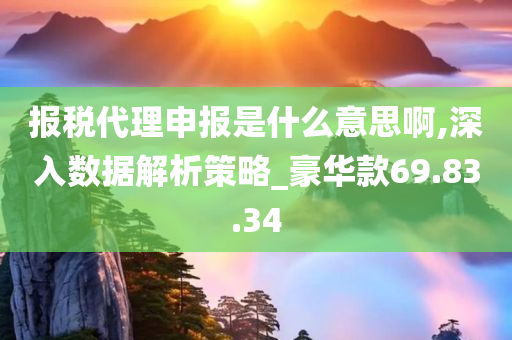 报税代理申报是什么意思啊,深入数据解析策略_豪华款69.83.34