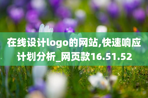 在线设计logo的网站,快速响应计划分析_网页款16.51.52