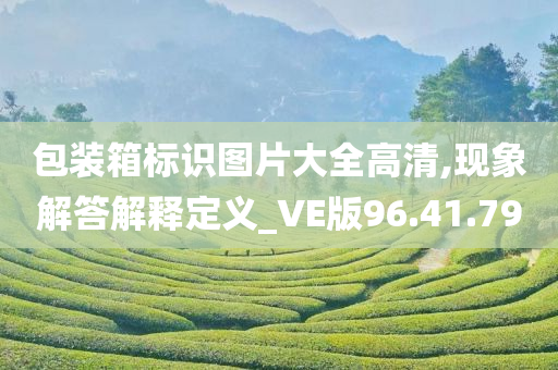 包装箱标识图片大全高清,现象解答解释定义_VE版96.41.79