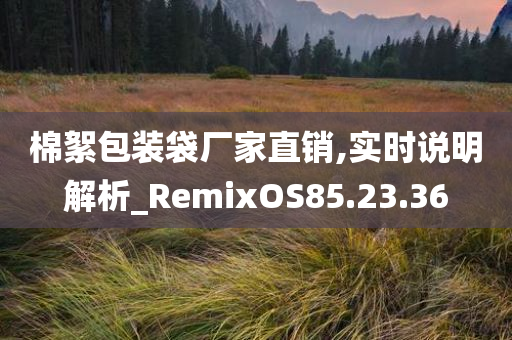 棉絮包装袋厂家直销,实时说明解析_RemixOS85.23.36