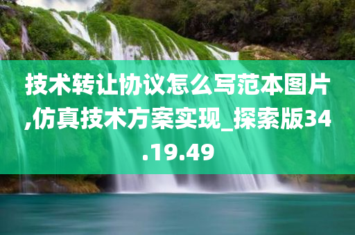 技术转让协议怎么写范本图片,仿真技术方案实现_探索版34.19.49