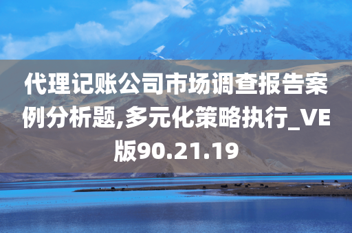 代理记账公司市场调查报告案例分析题,多元化策略执行_VE版90.21.19