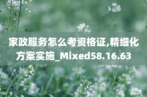 家政服务怎么考资格证,精细化方案实施_Mixed58.16.63