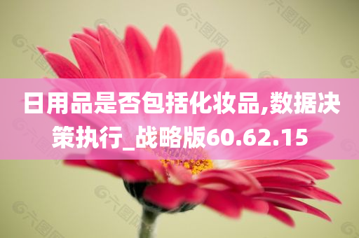 日用品是否包括化妆品,数据决策执行_战略版60.62.15