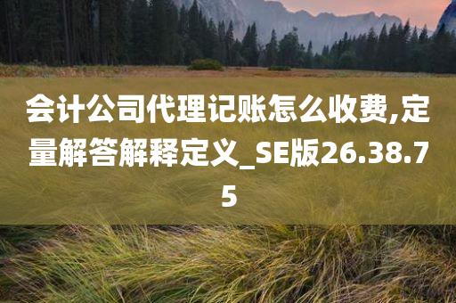 会计公司代理记账怎么收费,定量解答解释定义_SE版26.38.75