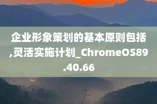 企业形象策划的基本原则包括,灵活实施计划_ChromeOS89.40.66