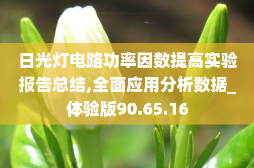 日光灯电路功率因数提高实验报告总结,全面应用分析数据_体验版90.65.16