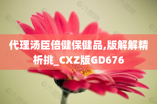 代理汤臣倍健保健品,版解解精析挑_CXZ版GD676