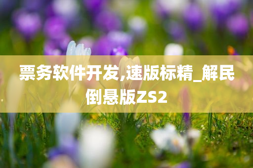 票务软件开发,速版标精_解民倒悬版ZS2