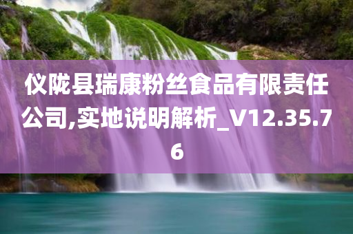 仪陇县瑞康粉丝食品有限责任公司,实地说明解析_V12.35.76