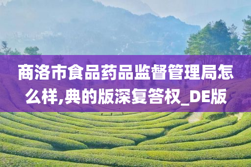 商洛市食品药品监督管理局怎么样,典的版深复答权_DE版