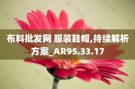 布料批发网 服装鞋帽,持续解析方案_AR95.33.17