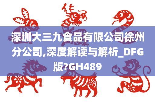 深圳大三九食品有限公司徐州分公司,深度解读与解析_DFG版?GH489