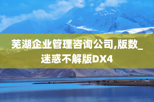 芜湖企业管理咨询公司,版数_迷惑不解版DX4