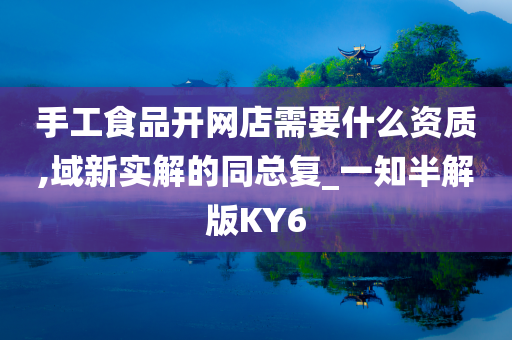 手工食品开网店需要什么资质,域新实解的同总复_一知半解版KY6