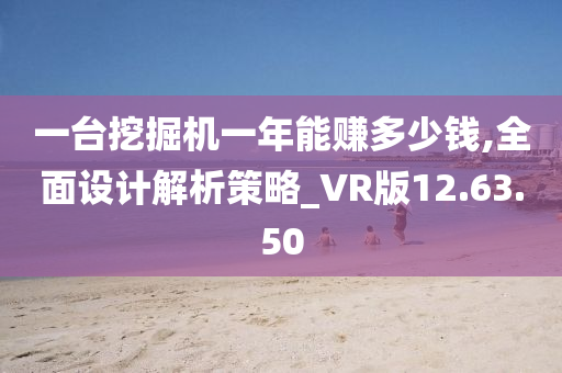 一台挖掘机一年能赚多少钱,全面设计解析策略_VR版12.63.50