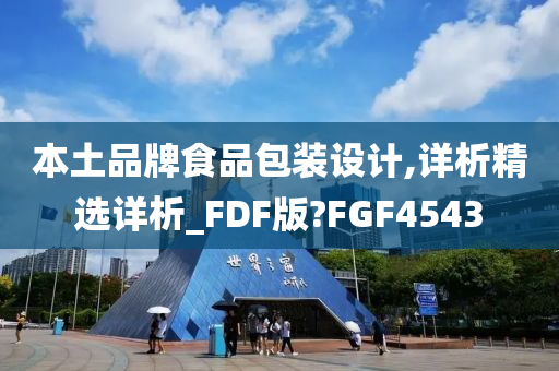 本土品牌食品包装设计,详析精选详析_FDF版?FGF4543