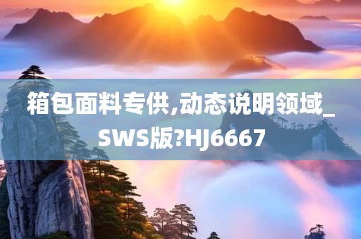 箱包面料专供,动态说明领域_SWS版?HJ6667