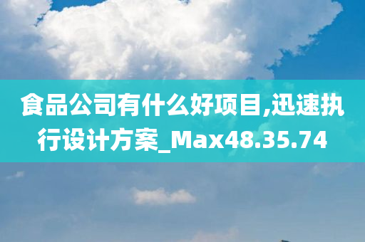 食品公司有什么好项目,迅速执行设计方案_Max48.35.74