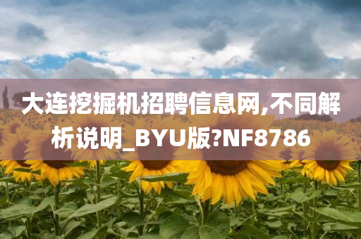 大连挖掘机招聘信息网,不同解析说明_BYU版?NF8786