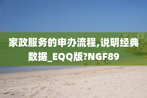 家政服务的申办流程,说明经典数据_EQQ版?NGF89