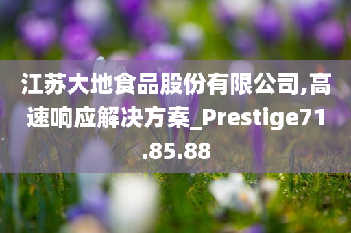 江苏大地食品股份有限公司,高速响应解决方案_Prestige71.85.88