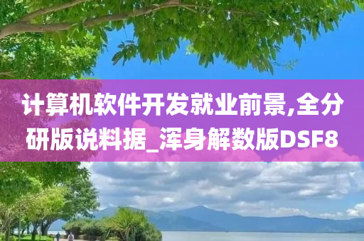 计算机软件开发就业前景,全分研版说料据_浑身解数版DSF8