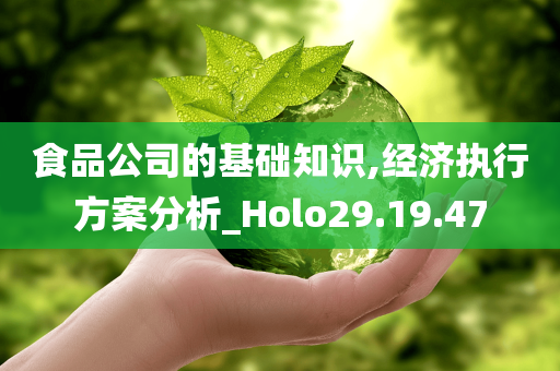 食品公司的基础知识,经济执行方案分析_Holo29.19.47