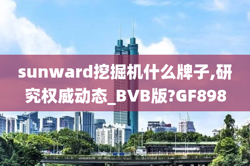 sunward挖掘机什么牌子,研究权威动态_BVB版?GF898