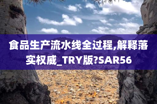 食品生产流水线全过程,解释落实权威_TRY版?SAR56