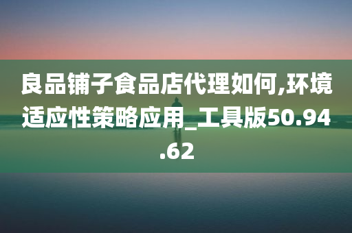 良品铺子食品店代理如何,环境适应性策略应用_工具版50.94.62