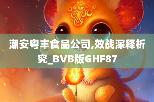 潮安粤丰食品公司,效战深释析究_BVB版GHF87